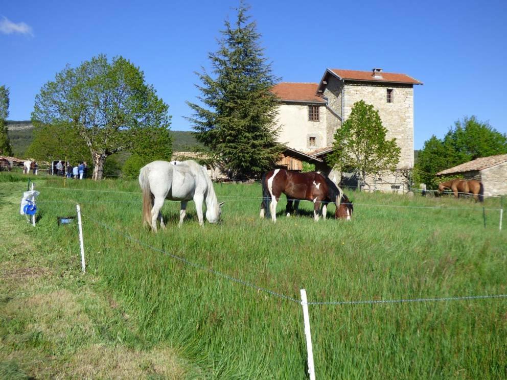 ホテル Le Relais Des Baronnies Montjay  エクステリア 写真